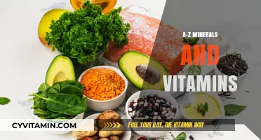 Essential Nutrients Unveiled: A Comprehensive Guide to Vitamins and Minerals