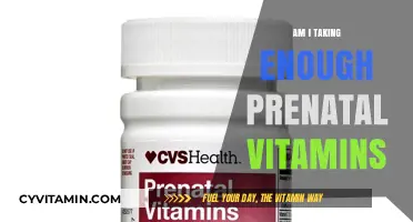 Nourishing Your Pregnancy: Are You Getting Enough Prenatal Vitamins?