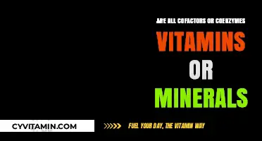 Exploring the Relationship Between Cofactors, Coenzymes, Vitamins, and Minerals