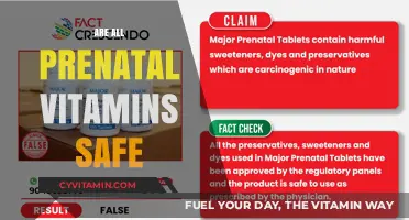 Exploring Prenatal Vitamin Safety: What Expectant Mothers Need to Know