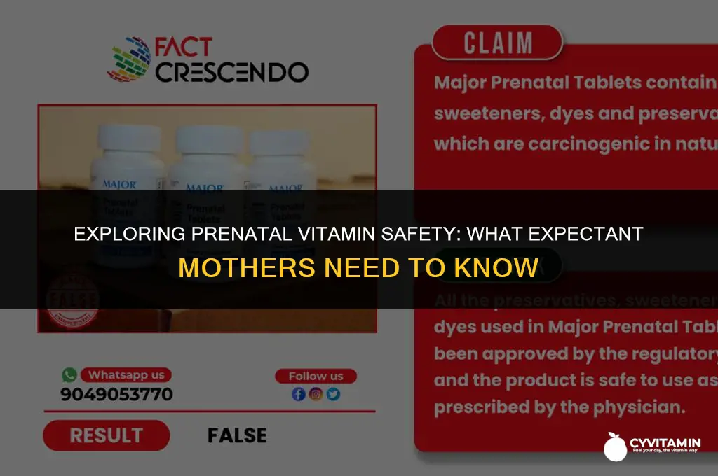 are all prenatal vitamins safe