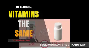 Decoding Prenatal Vitamins: Are They All Created Equal?