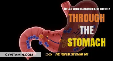 Stomach Absorption: The Truth About Vitamin Bioavailability and Efficiency