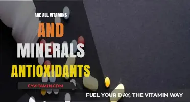 Exploring the Antioxidant Properties of Vitamins and Minerals