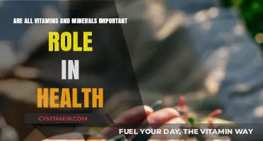 Essential Nutrients: The Vital Role of Vitamins and Minerals in Health