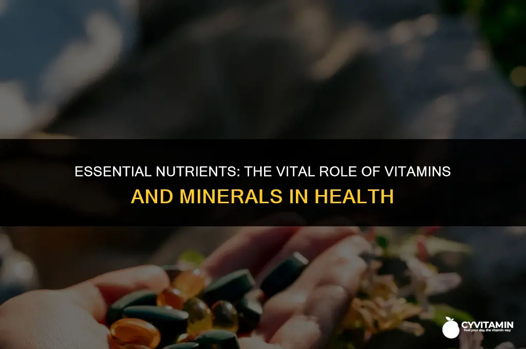 are all vitamins and minerals important role in health