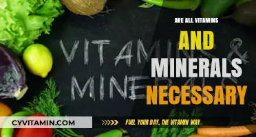 Unraveling the Essentials: Are All Vitamins and Minerals Necessary?
