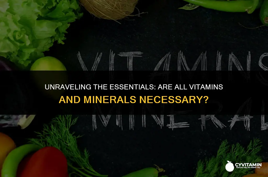 are all vitamins and minerals necessary