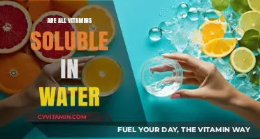 Exploring Vitamin Solubility: Are All Vitamins Water-Soluble?