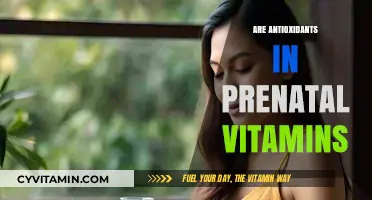 Boosting Baby's Health: The Role of Antioxidants in Prenatal Vitamins
