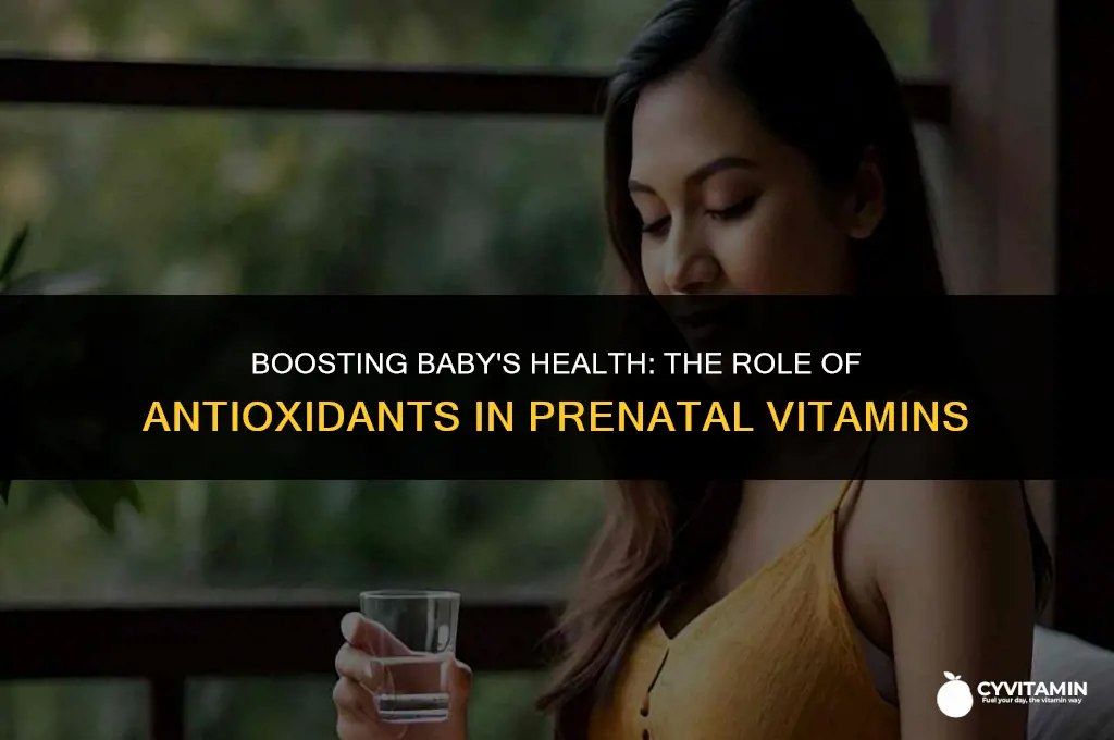 are antioxidants in prenatal vitamins