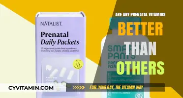 Prenatal Vitamin Showdown: Unveiling the Best Choices for Expectant Moms