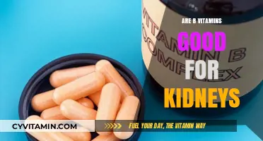 Boosting Kidney Health: The Benefits of B Vitamins Explained