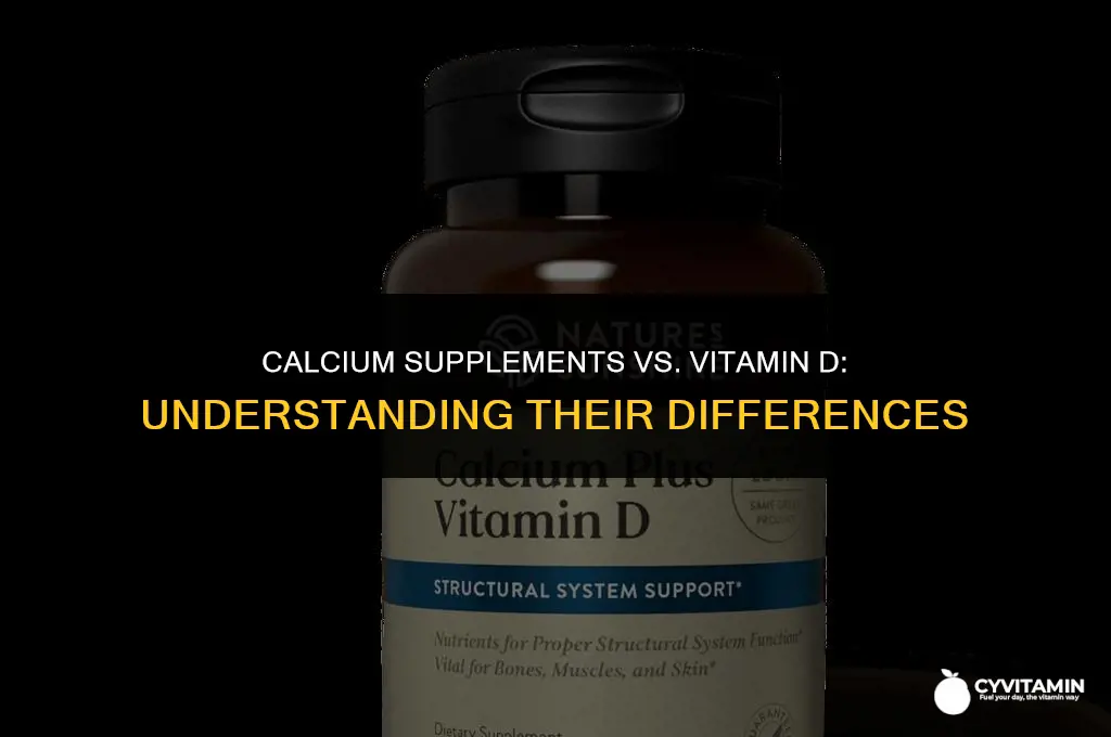 are calcium supplements the same as vitamin d
