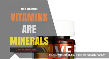 Exploring the Essential Nutrients: Coenzymes, Vitamins, and Minerals