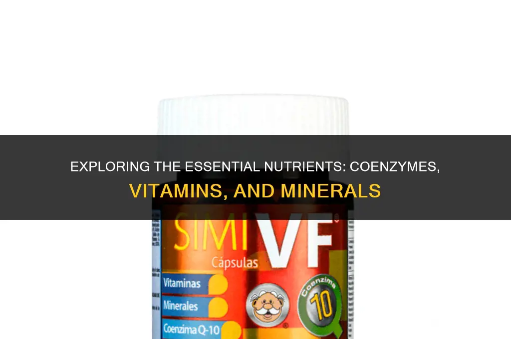 are coenzymes vitamins are minerals