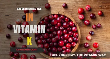 Unveiling the Nutritional Powerhouse: Cranberries and Vitamin K
