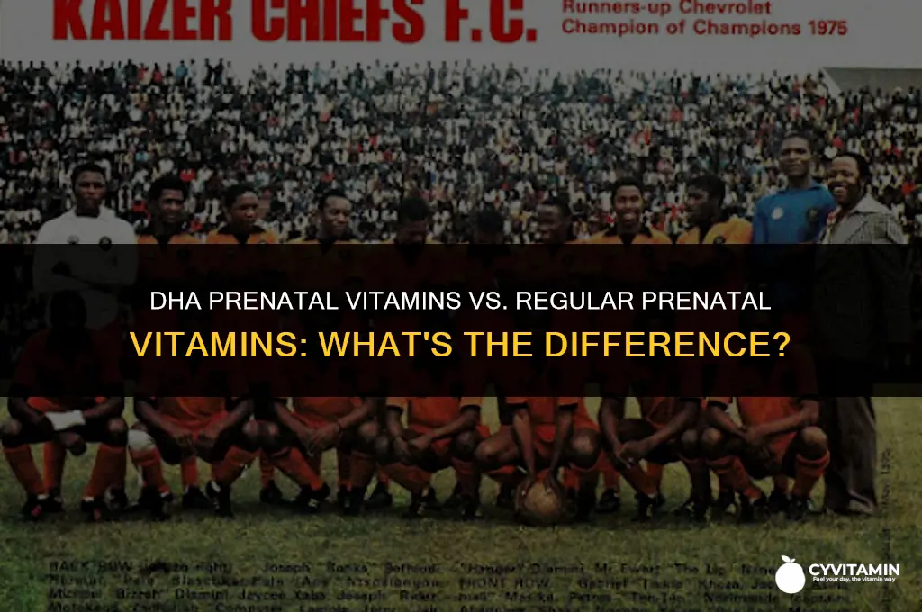are dha prenatal vitamins the same as prenatal vitamins