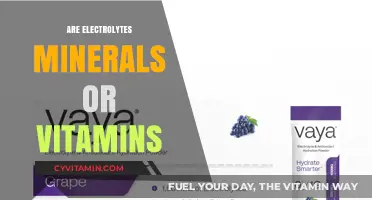 Electrolytes: The Essential Minerals for Optimal Health and Hydration