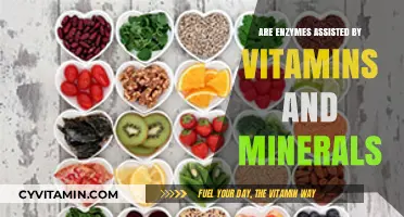 Unlocking the Power of Enzymes: The Vital Role of Vitamins and Minerals