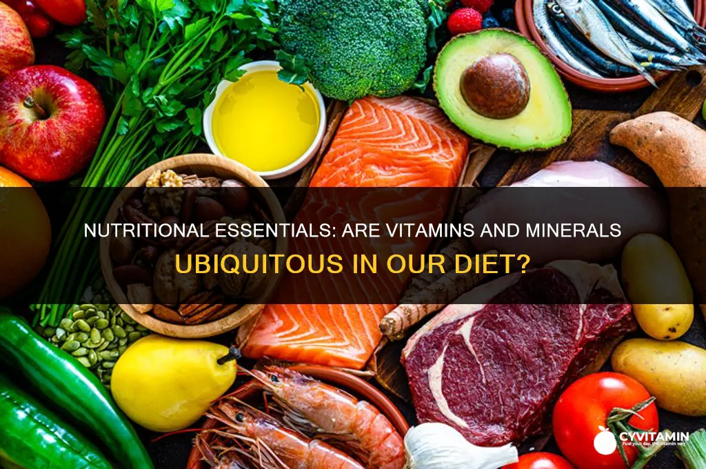 are essential vitamins and minerals in everything we eat