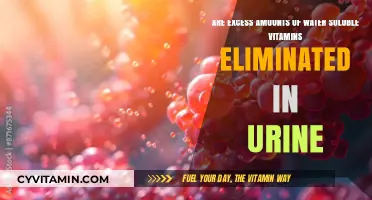 The Body's Natural Balance: Excreting Excess Water-Soluble Vitamins