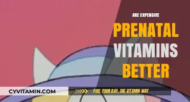 Prenatal Vitamins: Are Costlier Options Always Better for You?