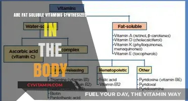 Exploring the Biosynthesis of Fat-Soluble Vitamins: A Comprehensive Guide