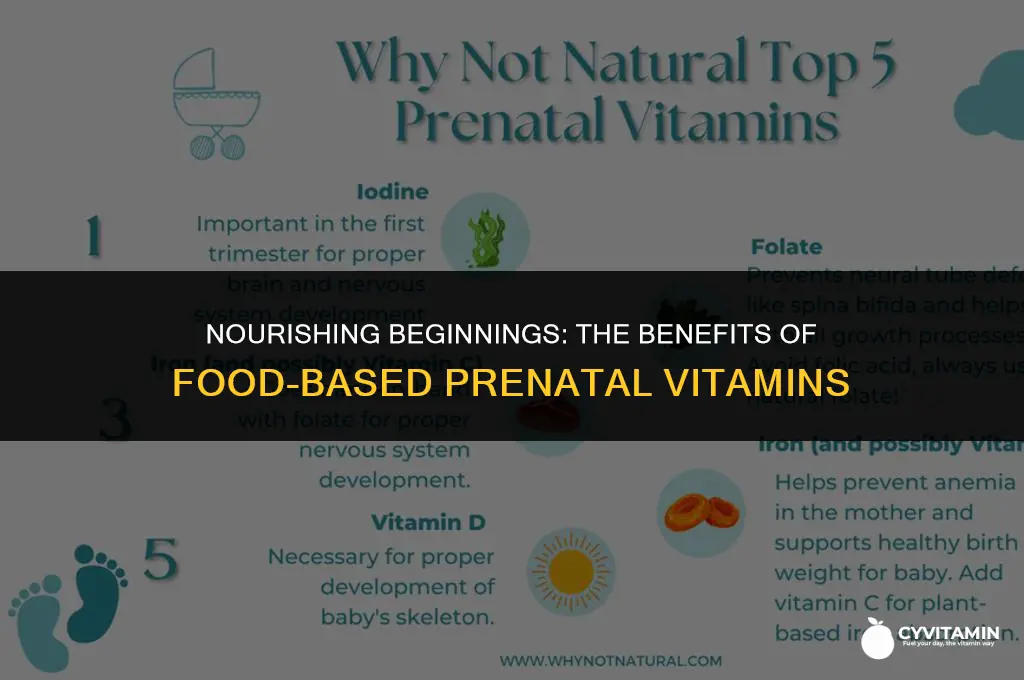 are food based prenatal vitamins better