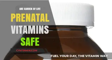 Nourishing Life: The Safety of Garden of Life Prenatal Vitamins