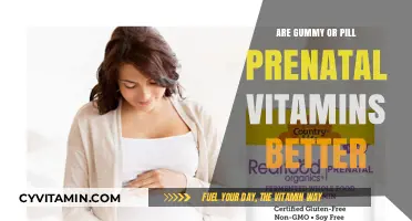 Gummy vs. Pill Prenatal Vitamins: Which Form is Better for You?