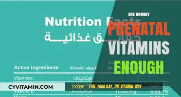 Gummy Prenatal Vitamins: Sufficient Nutrition for Expecting Moms?