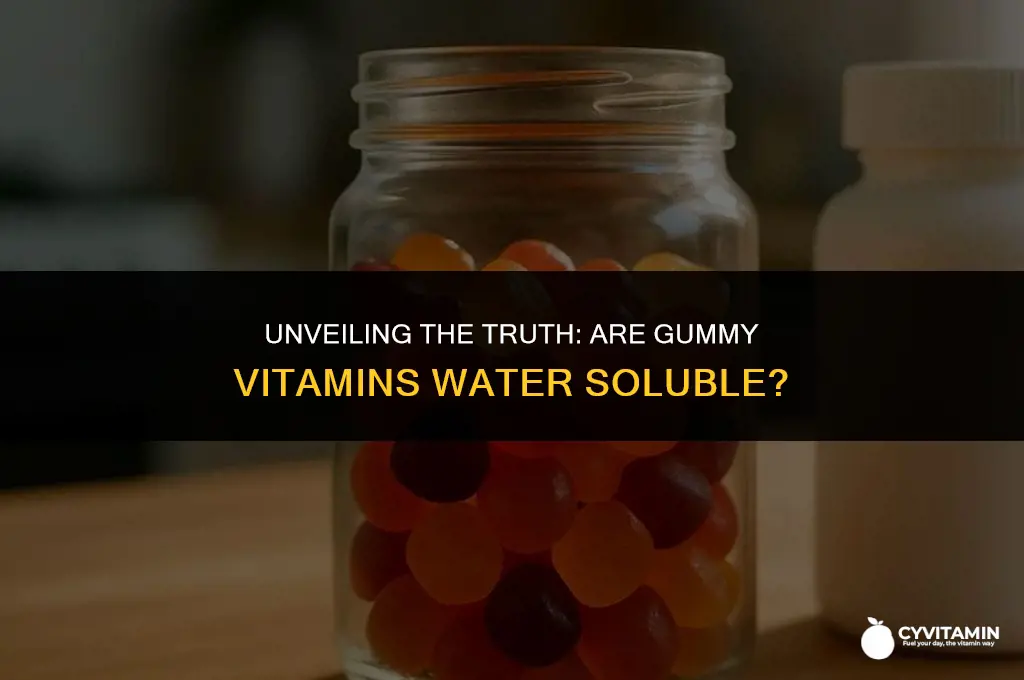 are gummy vitamins water soluble
