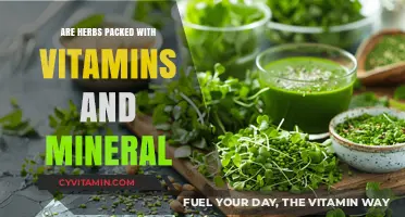 Unlocking Nature's Bounty: The Vitamin and Mineral Powerhouse of Herbs