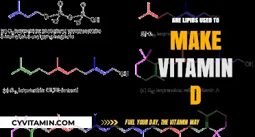 Unlocking the Connection: Lipids and Vitamin D Synthesis Explained