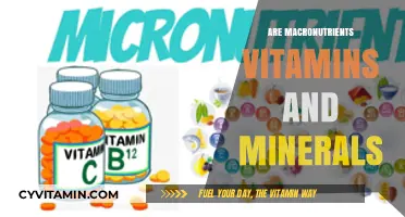 Macronutrients vs. Micronutrients: Understanding the Difference