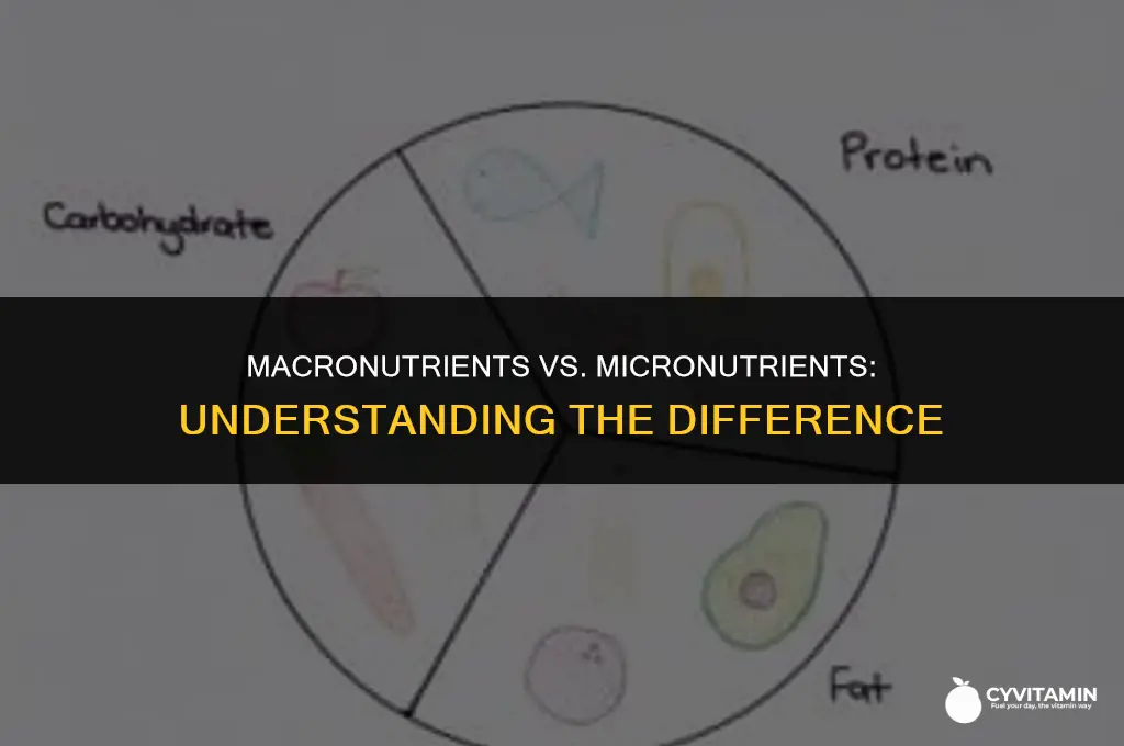 are macronutrients vitamins and minerals