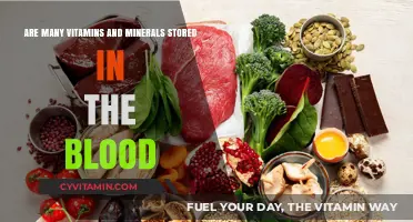 Exploring the Role of Blood in Storing Essential Vitamins and Minerals