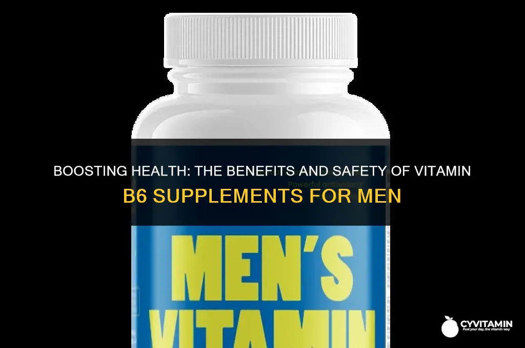 are men ok taking vitamin b6 supplements