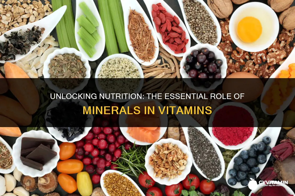 are minerals found in vitamins