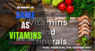 Unraveling the Mystery: Minerals vs. Vitamins - What's the Difference?