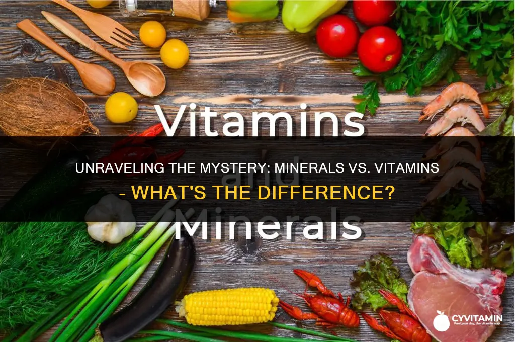 are minerals the same as vitamins