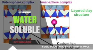 Exploring the Solubility of Minerals in Water: A Comprehensive Guide