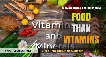 Unraveling the Nutrient Puzzle: Minerals vs. Vitamins in Food Absorption