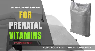 Prenatal Nutrition: Are Multivitamins Enough for Expecting Mothers?