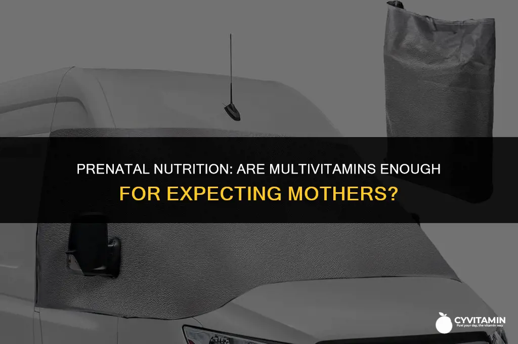 are multivitamins sufficient for prenatal vitamins