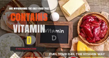 Exploring Vitamin D Sources: Beyond Mushrooms in Your Diet