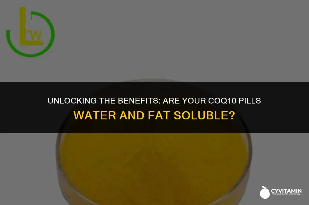 are my coq10 pills not water and fat soluble vitamins