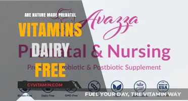 Exploring Dairy-Free Options for Nature-Made Prenatal Vitamins