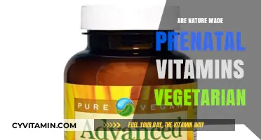 Exploring Nature-Made Prenatal Vitamins: Are They Vegetarian-Friendly?